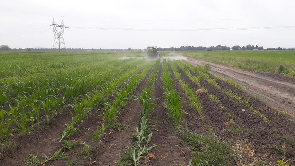 Kadirli Azaplı Köyü Resimleri 5