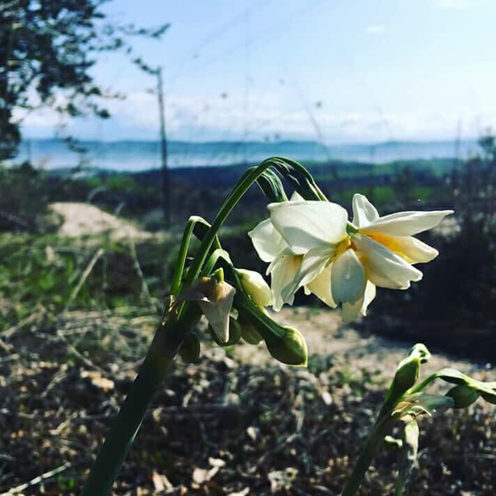 Kadirli Bekereci Köyü Resimleri 6