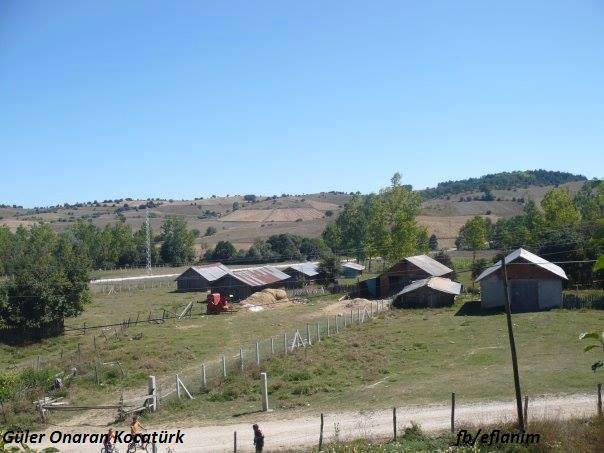 Eflani Afşar Köyü Resimleri 1