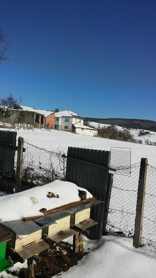 Eflani Afşar Köyü Resimleri 3