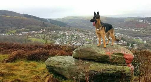 Kadirli Karabacak Köyü Resimleri 5