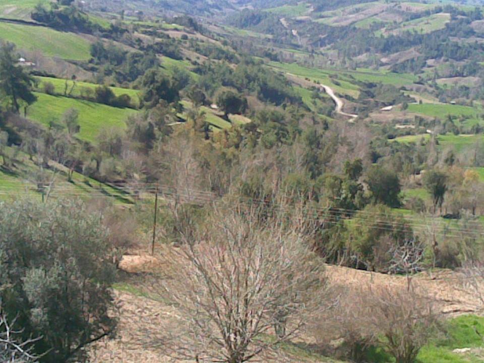 Kadirli Yenigün Köyü Resimleri 3