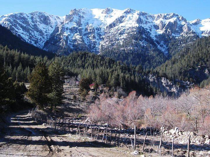 Kadirli Yoğunoluk Köyü Resimleri 3