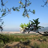 Osmaniye Akyar Köyü Resimleri 2