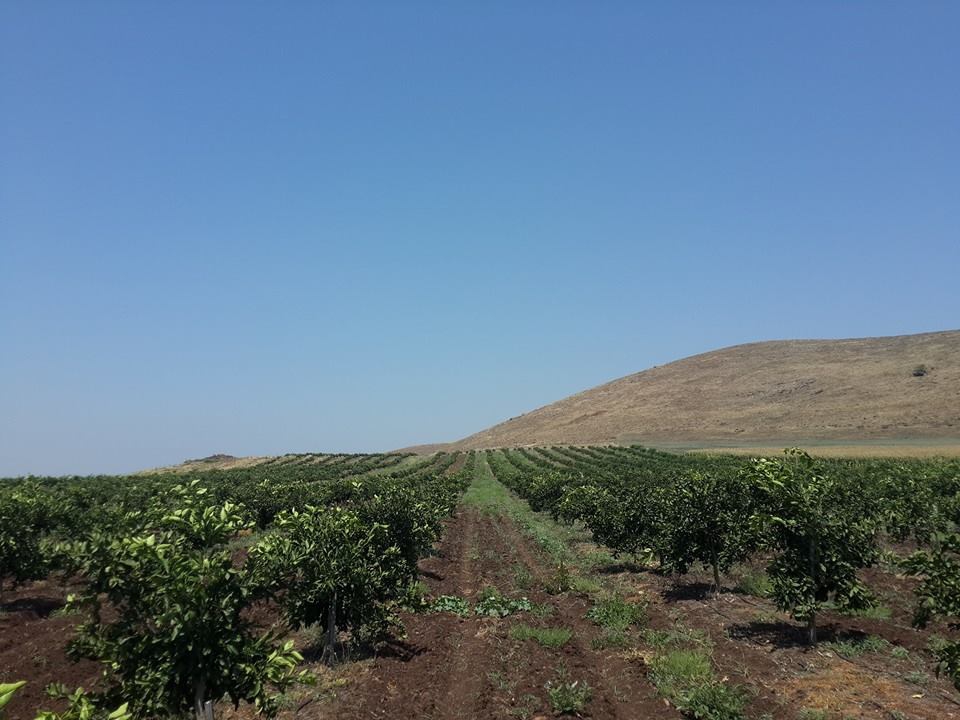 Osmaniye Alahanlı Köyü Resimleri 2