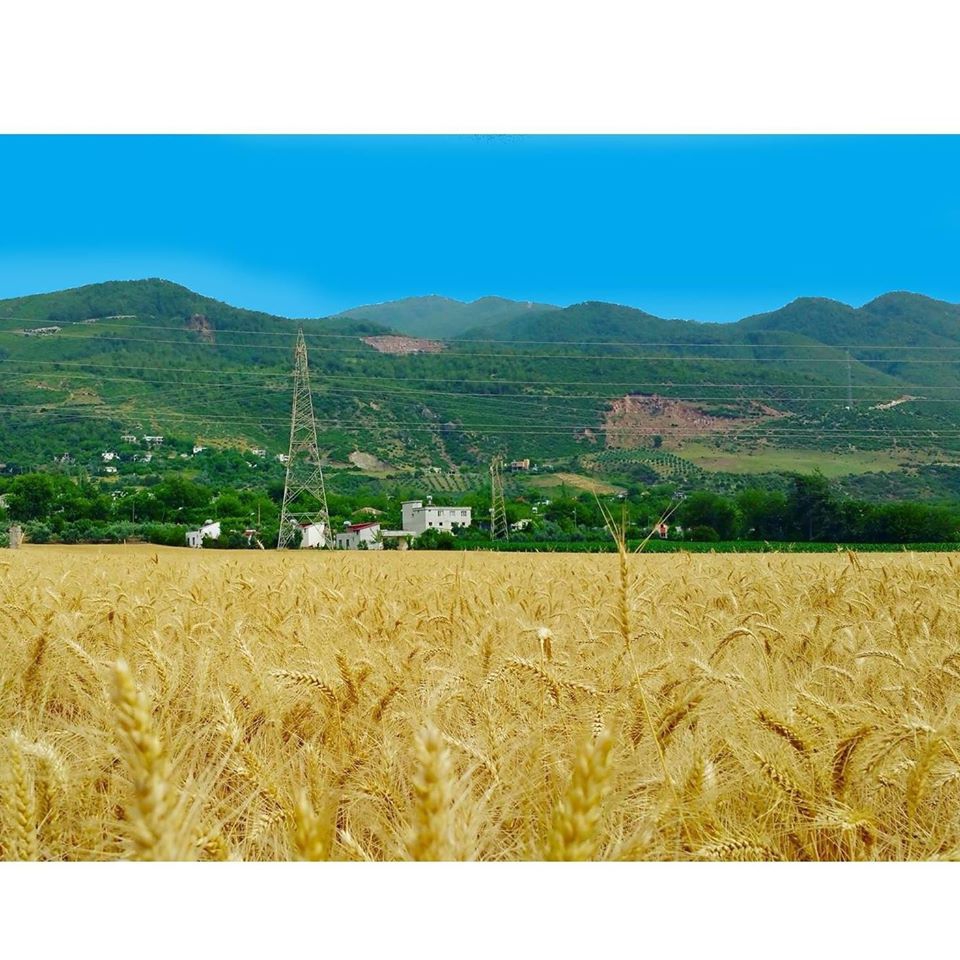 Osmaniye Çağşak Köyü Resimleri 2