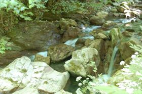 Eflani Alpagut Köyü Resimleri 2