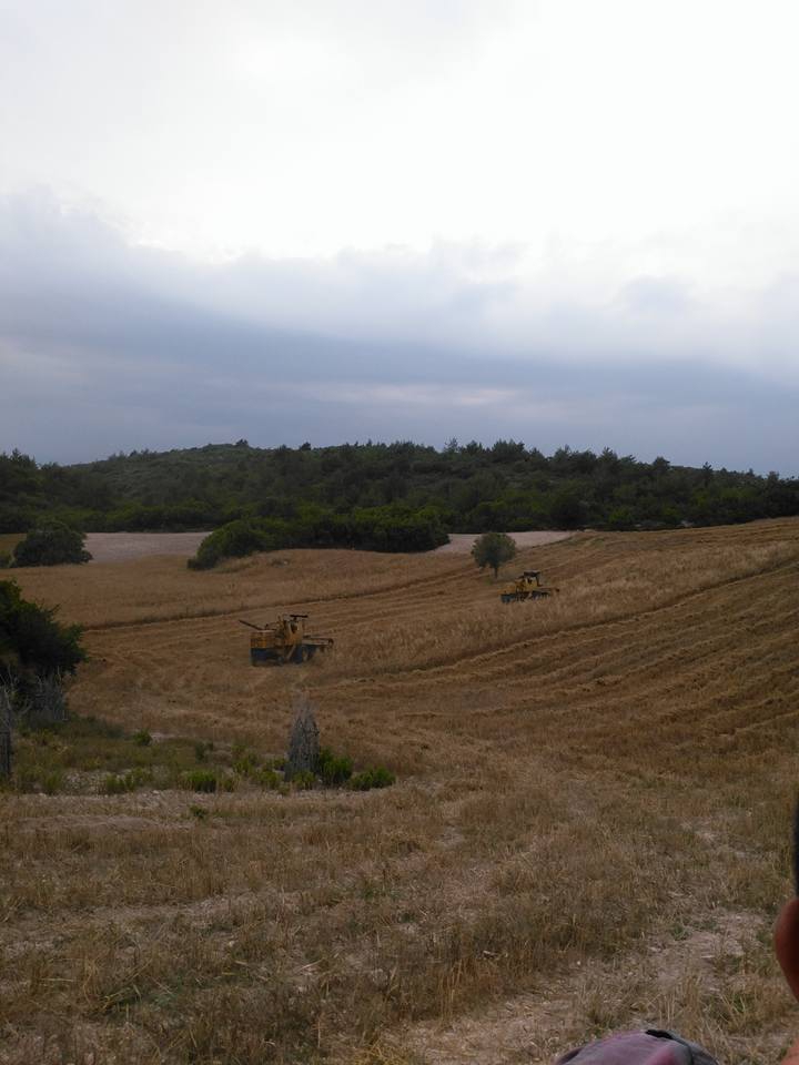 Osmaniye Kazmaca Köyü Resimleri 10