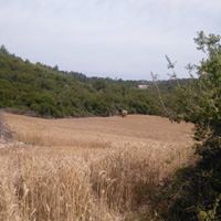 Osmaniye Kazmaca Köyü Resimleri 5