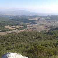 Osmaniye Kazmaca Köyü Resimleri 7