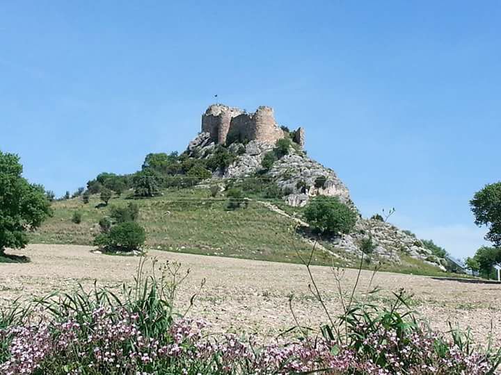 Osmaniye Kesmeburun Köyü Resimleri 7