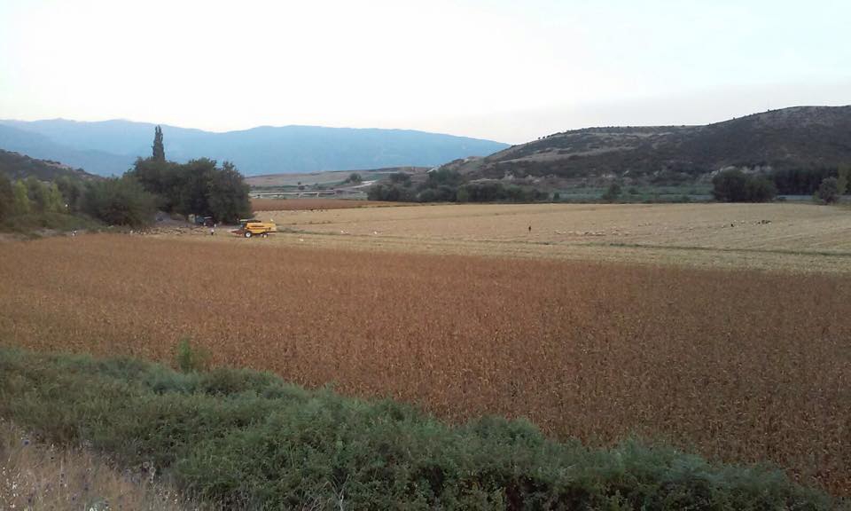 Osmaniye Kumarlı Köyü Resimleri 6
