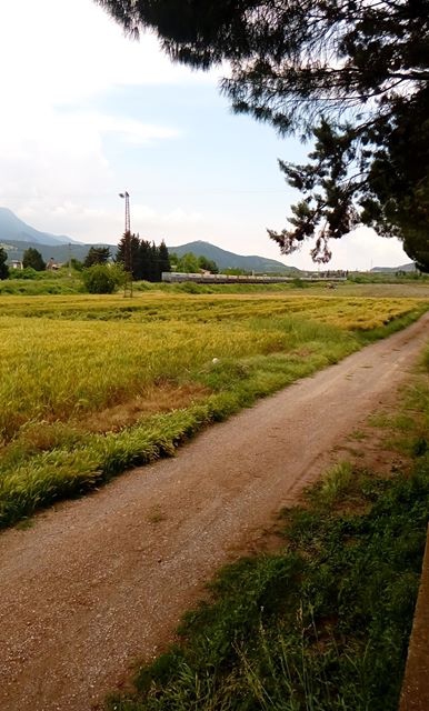 Osmaniye Nohuttepe Köyü Resimleri 3