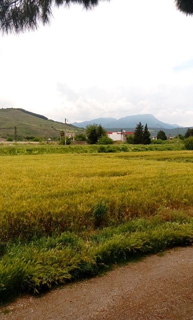 Osmaniye Nohuttepe Köyü Resimleri 4