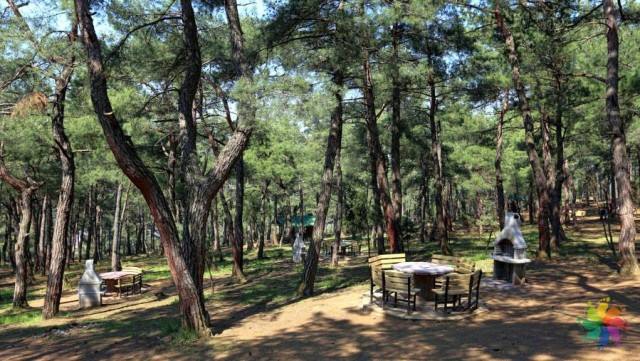 Eflani Bağlıca Köyü Resimleri 3