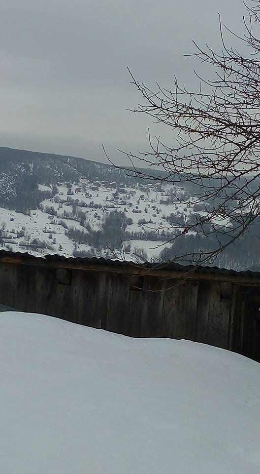 Eflani Bağlıca Köyü Resimleri 8