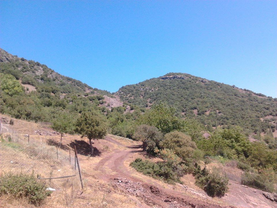 Osmaniye Oruçgazi Köyü Resimleri 1