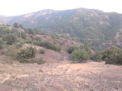 Osmaniye Oruçgazi Köyü Resimleri 2