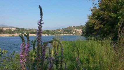 Osmaniye Sarpınağzı Köyü Resimleri 2