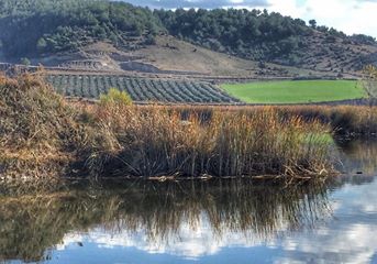 Osmaniye Sarpınağzı Köyü Resimleri 3