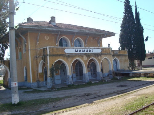 Osmaniye Tehçi Köyü Resimleri 2