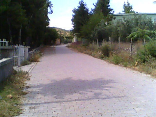 Osmaniye Tehçi Köyü Resimleri 3