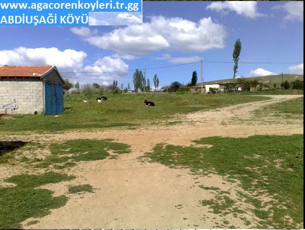 Ağaçören Abdiuşağı Köyü Resimleri 3