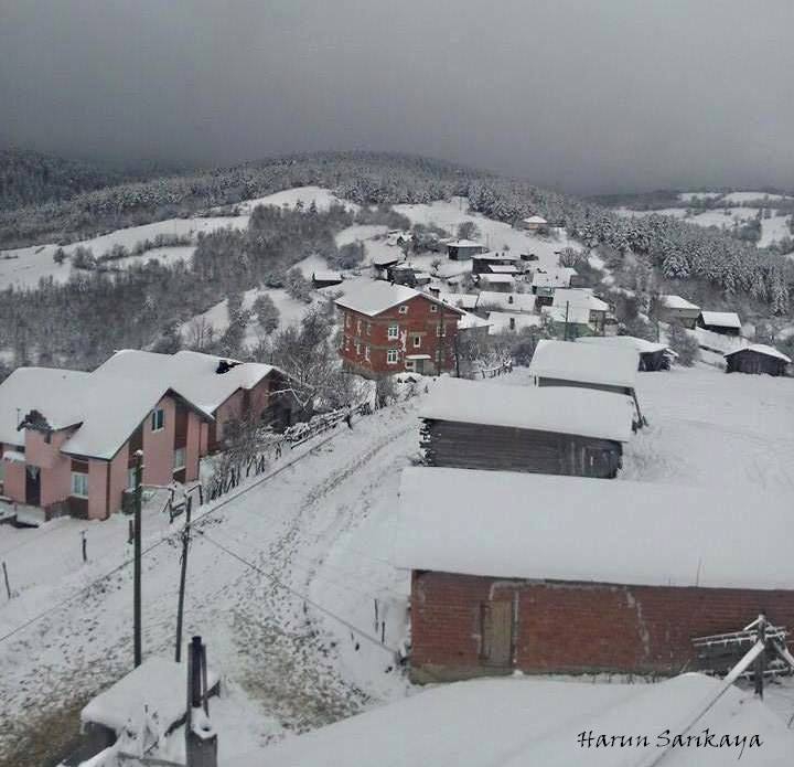 Eflani Bakırcılar Köyü Resimleri 2