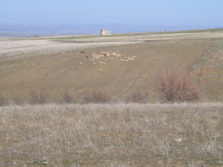 Ağaçören Dadılar Köyü Resimleri 2