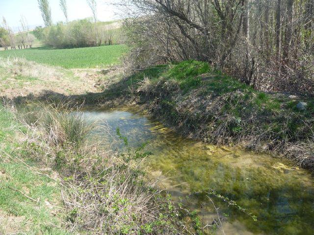 Ağaçören Dadılar Köyü Resimleri 7