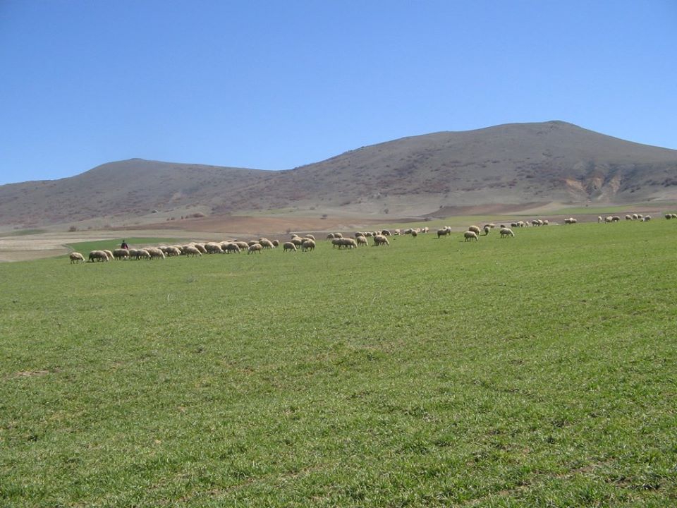 Ağaçören Dadılar Köyü Resimleri 9