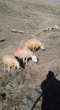 Ağaçören Kırımini Köyü Resimleri 3