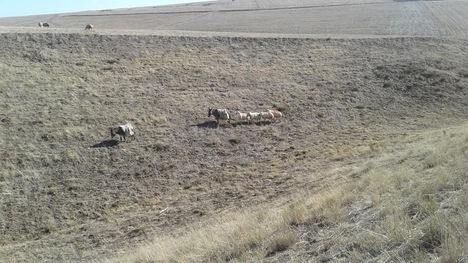 Ağaçören Kırımini Köyü Resimleri 4