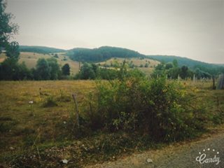 Eflani Bedil Köyü Resimleri 3