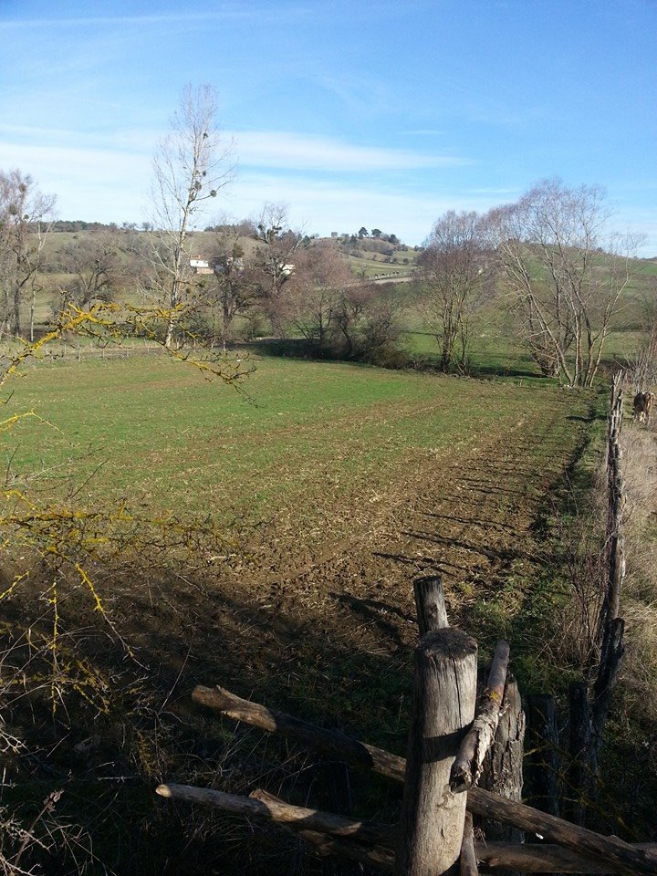 Eflani Bedil Köyü Resimleri 5