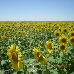 Aksaray Çimenliyeniköy  Köyü Resimleri 1