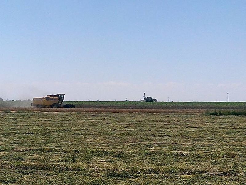 Aksaray Darıhüyüğü Köyü Resimleri 1