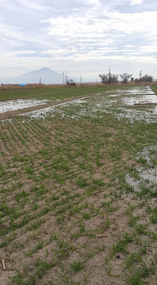 Aksaray Darıhüyüğü Köyü Resimleri 2