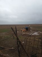 Aksaray Darıhüyüğü Köyü Resimleri 3