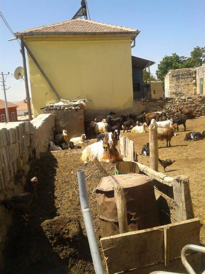 Aksaray Ekecikgödeler Köyü Resimleri 22