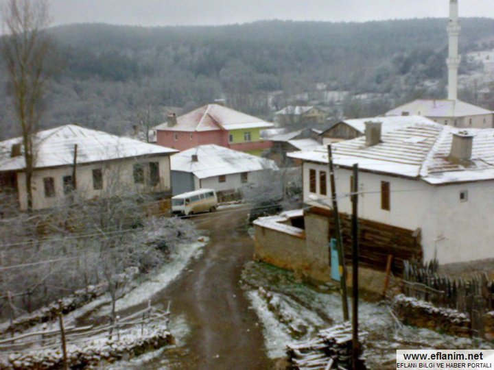 Eflani Çalköy Köyü Resimleri 2
