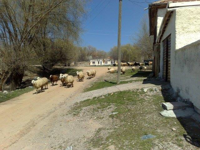 Aksaray Ekecikyeniköy Köyü Resimleri 1