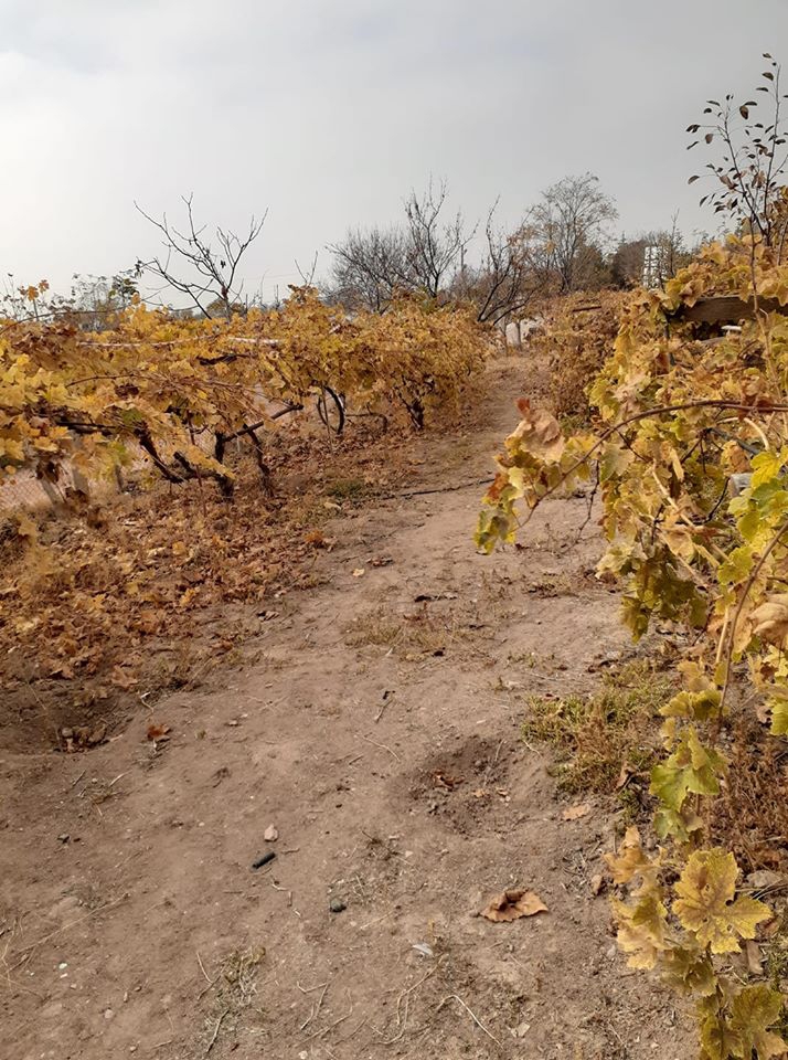 Aksaray Gençosman Köyü Resimleri 3