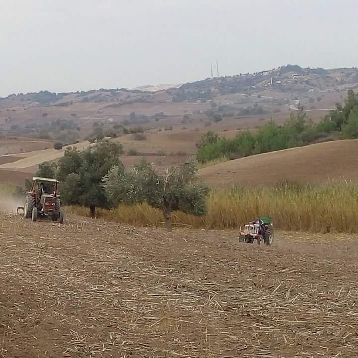 Adana Karaisalı Kırıklı Köyü Resimleri 19