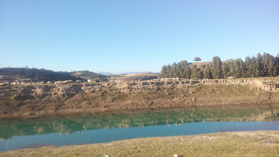 Adana Karaisalı Kırıklı Köyü Resimleri 21