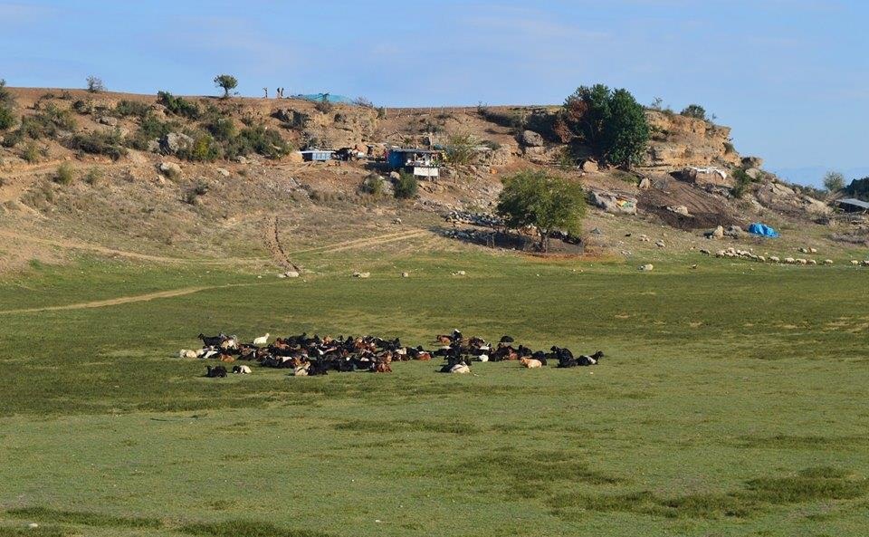 Adana Karaisalı Kırıklı Köyü Resimleri 22