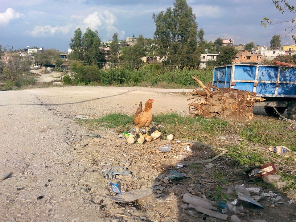 Adana Karaisalı Kırıklı Köyü Resimleri 38