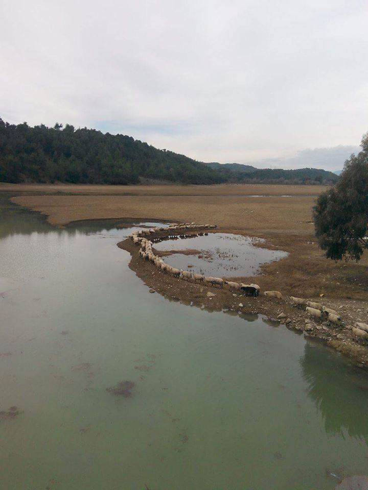 Adana Karaisalı Kırıklı Köyü Resimleri 7