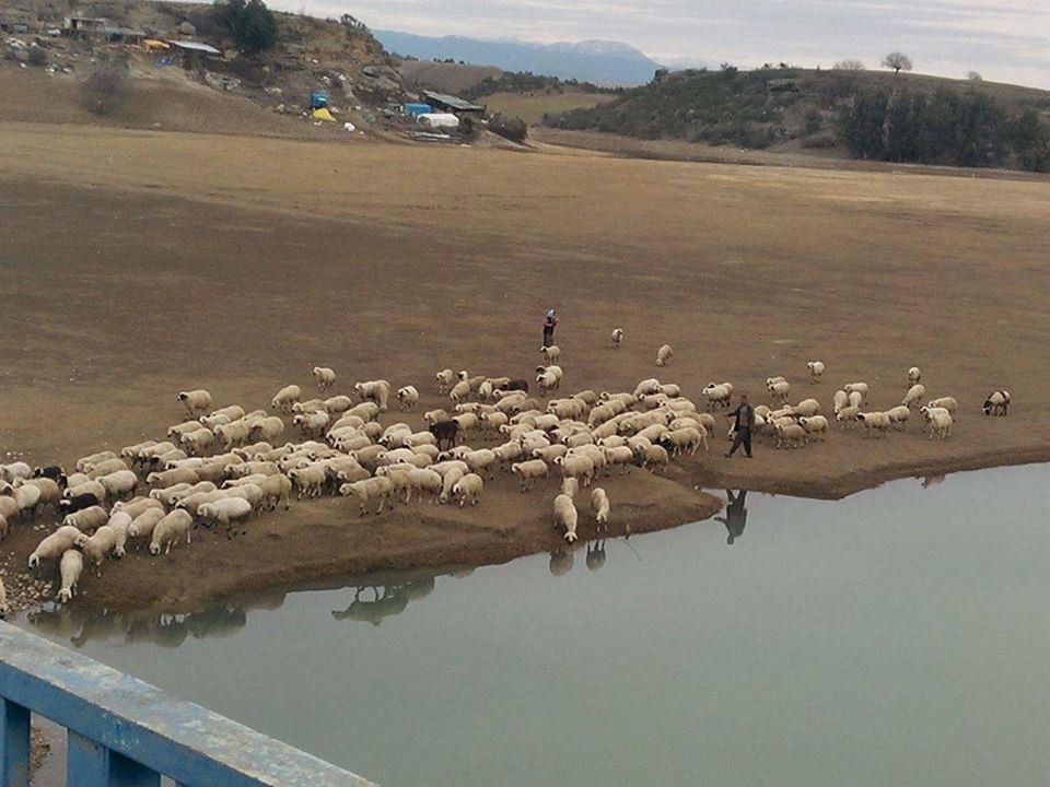 Adana Karaisalı Kırıklı Köyü Resimleri 8