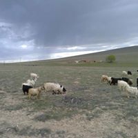 Aksaray Karakuyu Köyü Resimleri 5